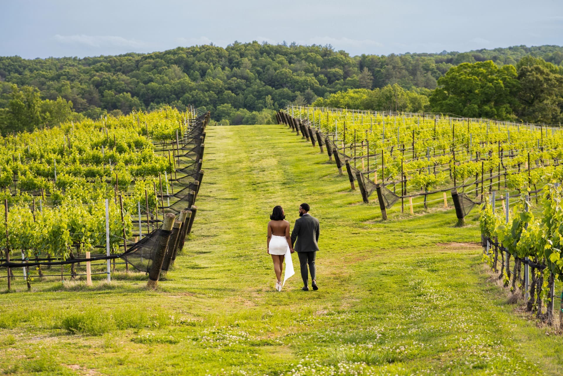 Couple walking down a vineyard row